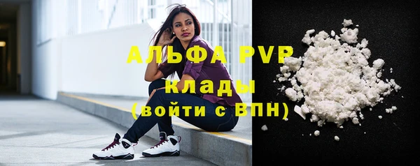 прущие грибы Дмитриев