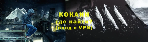прущие грибы Дмитриев