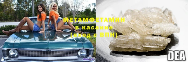 прущие грибы Дмитриев