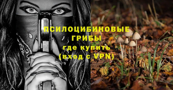 стаф Михайлов